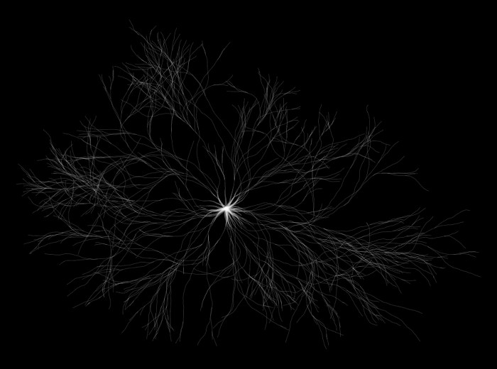 Single neuron