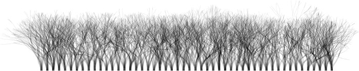 Dense row of trees
