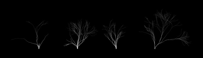 Four trees on black background