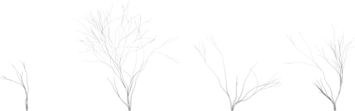 Four trees on white background