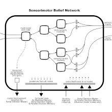 Sensorimotor Belief Network diagram