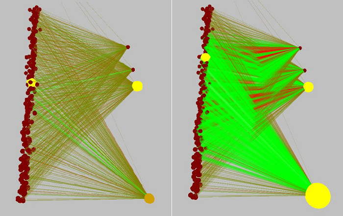 Visualization of value/policy neural networks, before and after learning the swing-up task. Links coming from the top are joined to a bias node (not shown).